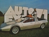 Car girl and Porsche Tapiro 1970